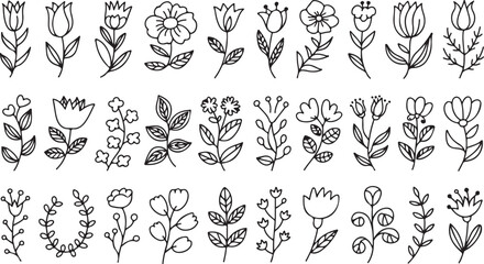 Doodle floral elements, roses, tulips, peonies, heart shaped leaves, vines, flower wreaths, floral dividers, petals, black and white line art