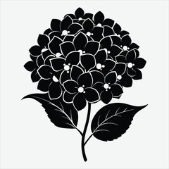 Hydrangea flower silhouette art illustration.