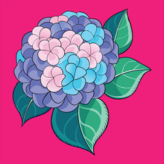 Hydrangea flower vector art illustration.