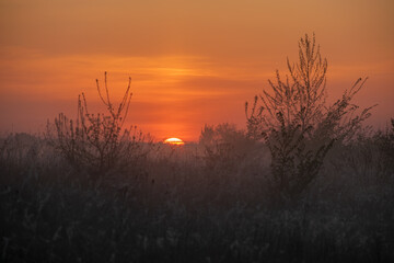 sunset over the field