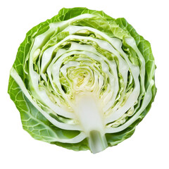 Fototapeta premium Freshly sliced cabbage presenting vibrant green layers on a white background for culinary use, Cabbage sliced isolated on white background