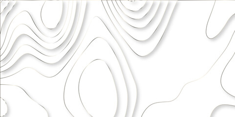 paper cut 3d render topography abstract, beautiful white Background. geometric map relief texture with curved layers and shadow. Realistic papercut decoration textured with wavy vector design.