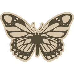 Butterfly Vintage Illustration