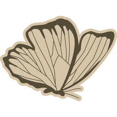Butterfly Vintage Illustration