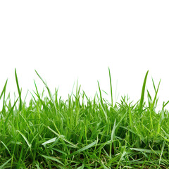 Fototapeta premium Vibrant green grass field landscape showing lush greenery isolated on white background for artistic use, Green grass field landscape isolated on white background