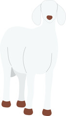 faceless eid al adha animal goat