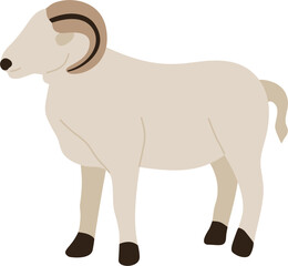 faceless eid al adha animal sheep