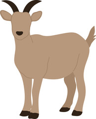 faceless eid al adha animal goat