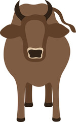 faceless eid al adha animal cow