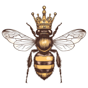 Illustration of a bee wearing a golden crown with intricate details against a black background