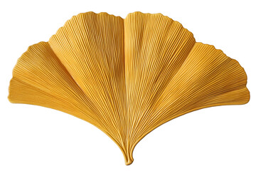 Detailed Ginkgo Biloba Leaf