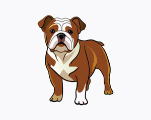 -bulldog-hand-drawn-engraving-consistent-outline.