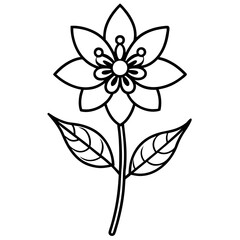 Minimal Boho Blossom Set Vector on White