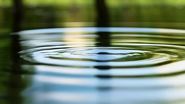 Water Ripples Expanding on a Smooth Lake Surface Reflection