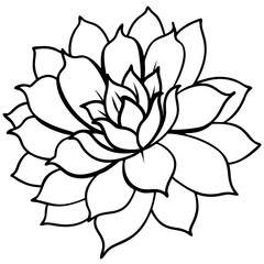 Fototapeta premium Minimal Wild Bloom Vector on White