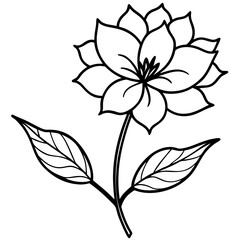 Minimal Wild Bloom Vector on White