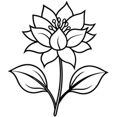 Minimal Wild Bloom Vector on White