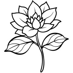 Fototapeta premium Minimal Wild Bloom Vector on White