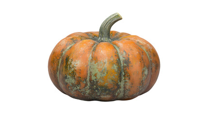 Small, mottled pumpkin