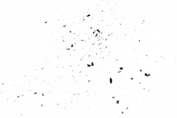 ash particle isolated on transparent background