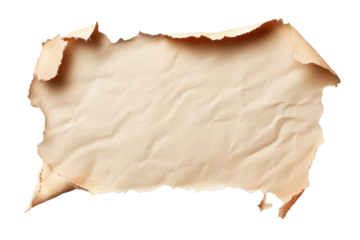 Ripped paper tear from notebook or sheet adds a raw and creative look to any design