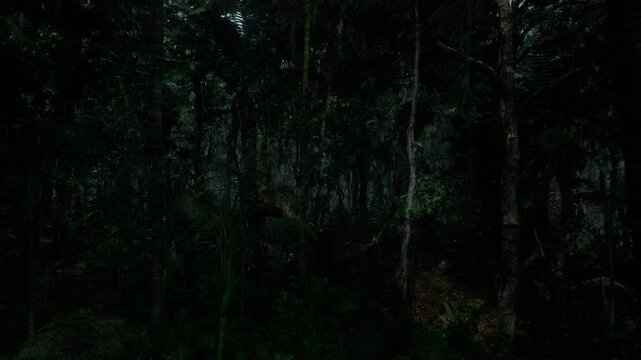 Small Rain In Tropical Forests