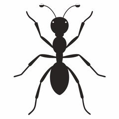 vector illustration of a ant