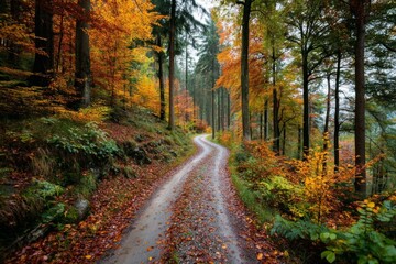 Fototapeta premium Scenic view of winding path in woods during autumn with vibrant foliage and scattered colorful leaves on the trail