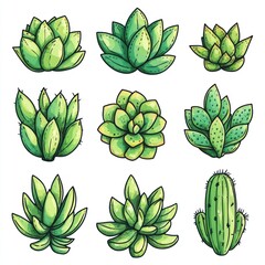 Several different green watercolor illustrations of various succulent plants