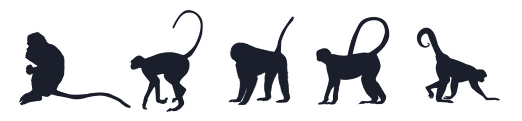  Collection of Animal Monkey Silhouettes vector.