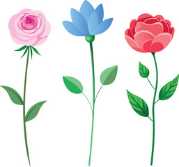 A beautiful vector illustration shows a single pink rose blossom, a floral symbol of love and romance, against a clean white background