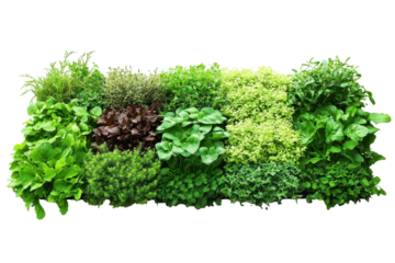 Green garden wall panels create a lush vertical landscape perfect for small spaces and urban environments