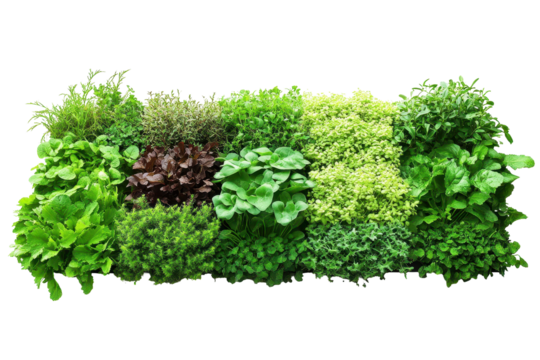 Green garden wall panels create a lush vertical landscape perfect for small spaces and urban environments