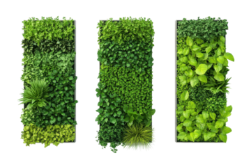Vertical garden walls provide a stunning mix of greenery and style for eco friendly architecture