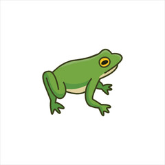 frog on white background