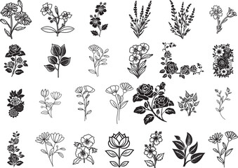Wild Flower Vector Set Botanical Floral Illustrations | Transparent PNG, SVG, EPS