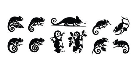 Chameleon Silhouette Set | Reptile Vector Illustration Collection Chameleon Outline Silhouette | Unique Lizard Vector Design