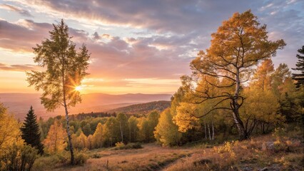 Naklejka premium Capture a moment when the sun paints forests, mountains, or rivers with golden light.