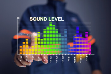 engineer point a graph of sound pressure level measurements in decibel and frequency in 1/3 octave...
