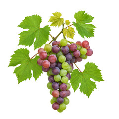 Vibrant Grapes with Transparent Background, Lush Green Leaves & Clusters, Delightful Harvest.