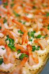 Succulent shrimp served on crispy crackers with a creamy spread and fresh herbs, making a perfect elegant bite-sized appetizer for parties and celebrations