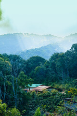 Chiang Mai Series : A country house in the middle of the forest in Chiangmai province.
