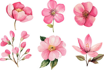 set of pink flowers