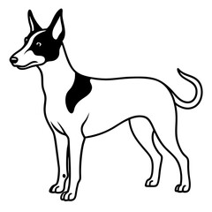 Minimal Basenji Dog Vector on White