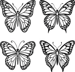 Obraz premium Butterfly set elegant detailed black and white outlines for design projects