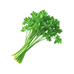 Isolated transparent PNG die-cut.Isolated on white background. Fresh Green Parsley Bunch Isolated on White Background