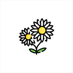 camomile on a white background