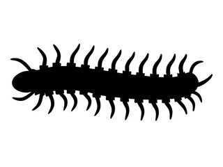 Obraz premium centipede silhouette vector for pest control branding, educational visuals, web graphics, and creative design 