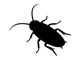 cockroach silhouette vector for pest control branding, educational visuals, web graphics, and creative design
