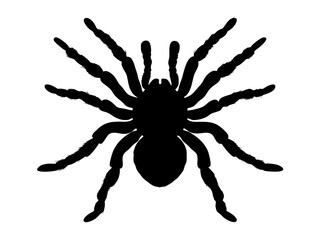 silhouette of a tarantula with extended legs and distinct body shape, ideal for arachnid-themed branding, horror designs, and educational materials

